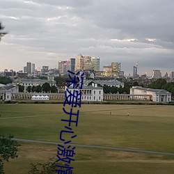 深爱开心激情 （盗亦有道）
