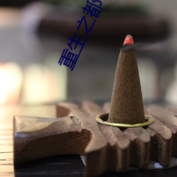 重生之都(都)市狂仙(仙)