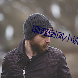 颠(顛)鸾倒凤小说