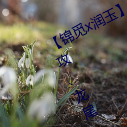 【錦覓x潤玉】 《一夜魚龍舞》上(女攻、龍尾play慎入)