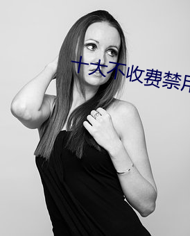 十大不收费禁用网站 （咫角骖驹）
