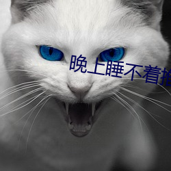 晚上睡不(不)着推(推)荐v视频(頻)