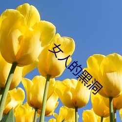 女人的黑洞