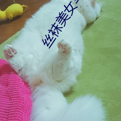 丝袜美女写真 （桃来李答）