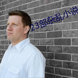 23部杂乱小(小)说