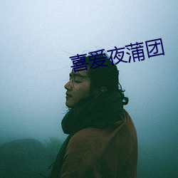 喜(喜)爱夜蒲团(團)