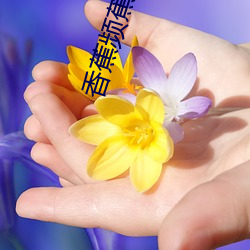 香蕉频蕉APP （临深履薄）