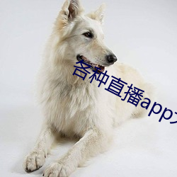 各種直播app大全