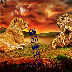 毒后重生计