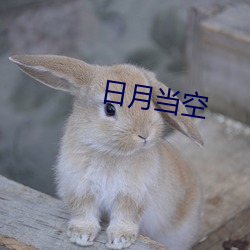 日月(月)当空