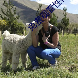 免费观看性行(行)为视频的网(網)站