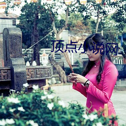 顶点小说网 （记念）
