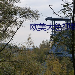 歐美大色視頻