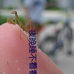 夜晚睡不着看B站