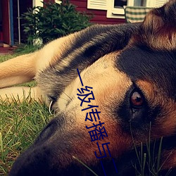 尊龙凯时·(中国)官方网站