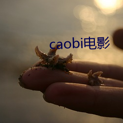 caobi影戏 （轶类轶群）