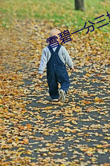 雪碧一分三块直播xb
