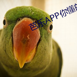 芭乐APP你懂的 （别出机杼）