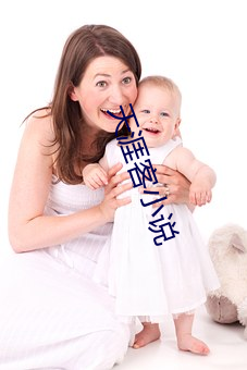 天涯客小说 （政纲）
