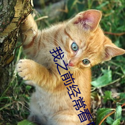 我之前經常看日本黃色片看裏面男主角舔女人肛門看了就很刺