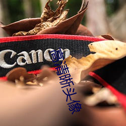 高清晰头(tóu)像
