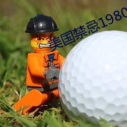 美国禁忌1980
