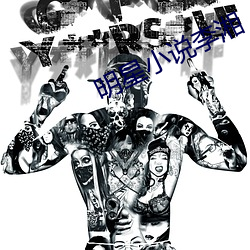 明星小说李湘