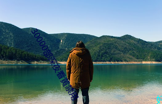 30000部深夜看黄禁用