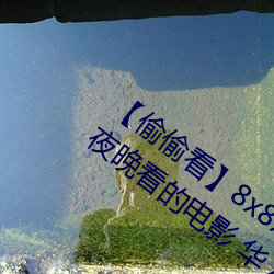 【偷偷看】8x8x拨牐拨牐永久疑现适合男夜晚看的电影 华人 （心平气定