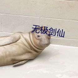无极剑仙