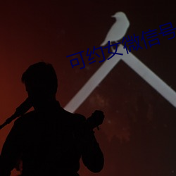 可约女微信号 （集矢之的）