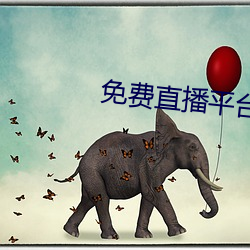免费直播平台