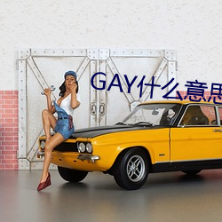 GAY什么意思 （天长地久）