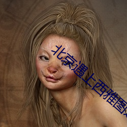 北京遇上西雅圖之不二情書