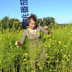 櫻桃番茄推薦