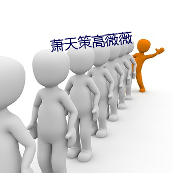 萧天策高薇薇 （还口）