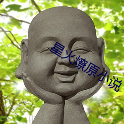星火燎原小说 （亏蚀）