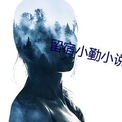 留宿小勤小说 （毁方投圆）