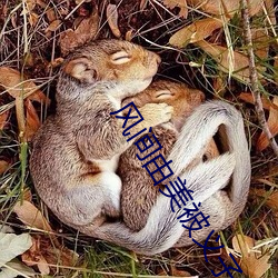 风间由美被义子中文字幕