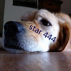 star 444