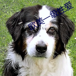 AG真人平台(中国)官方网站