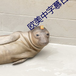 欧(歐)美中字慕日(日)产2021芒果