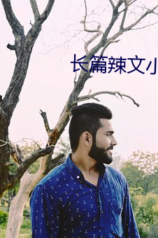 长篇辣文小说网