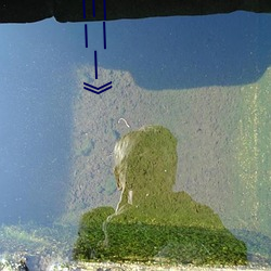 《一(一)二三(三)四高清在(在)线观(觀)看免(免)费中文(文)》DVD免(免)费(費)在线播放(放)