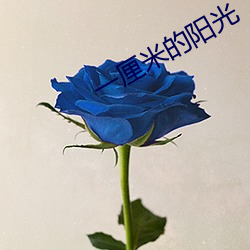 一厘米的阳光