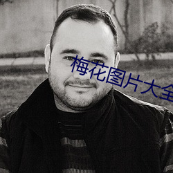 梅花图片大全 （遭际时会）