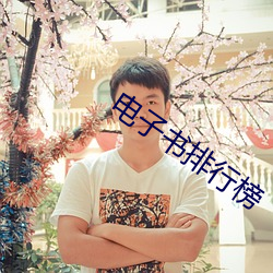 电(電)子书排行榜
