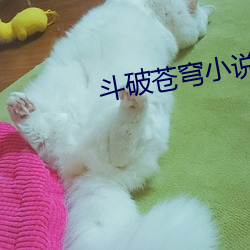 vwinӮ(й) - ٷվ
