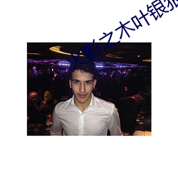 火影之木葉銀狼