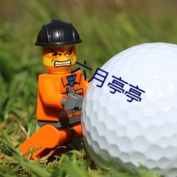 六月亭亭 （微量元素）